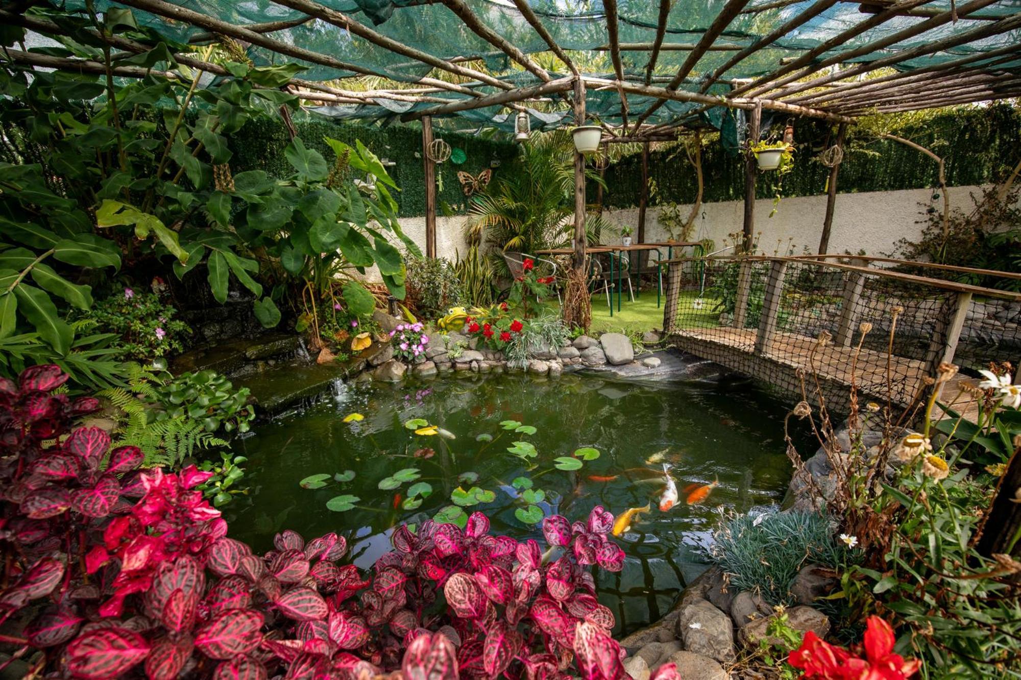 Villa Levada House Prazeres Extérieur photo